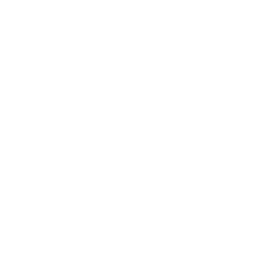 RallyByAli